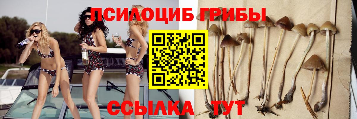Галлюциногенные грибы Psilocybine cubensis  Галлюциногенные грибы мухоморы  Вход с VPN  Сегежа 